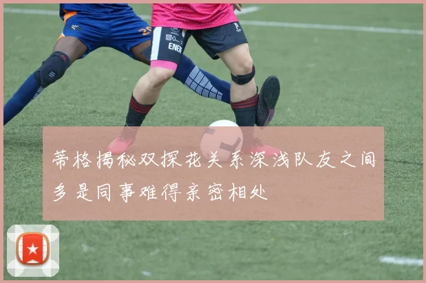 蒂格揭秘双探花关系深浅队友之间多是同事难得亲密相处
