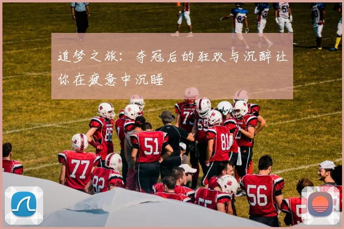 追梦之旅:夺冠后的狂欢与沉醉让你在疲惫中沉睡